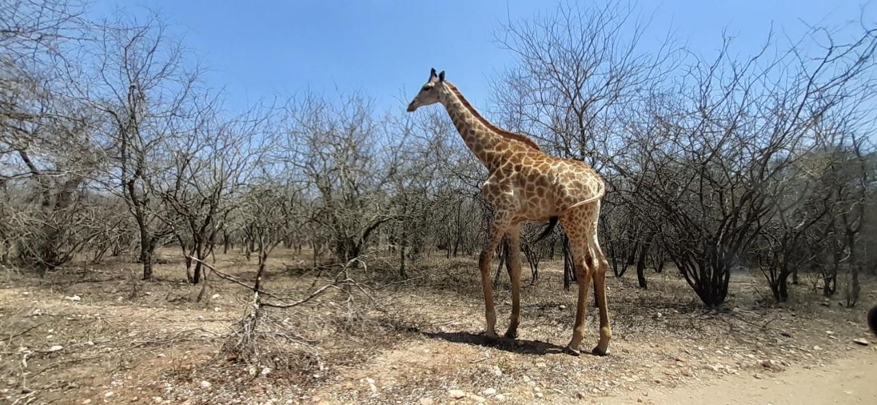 Kruger Riverside Lodge - No Load-Shedding مارلوث بارك المظهر الخارجي الصورة