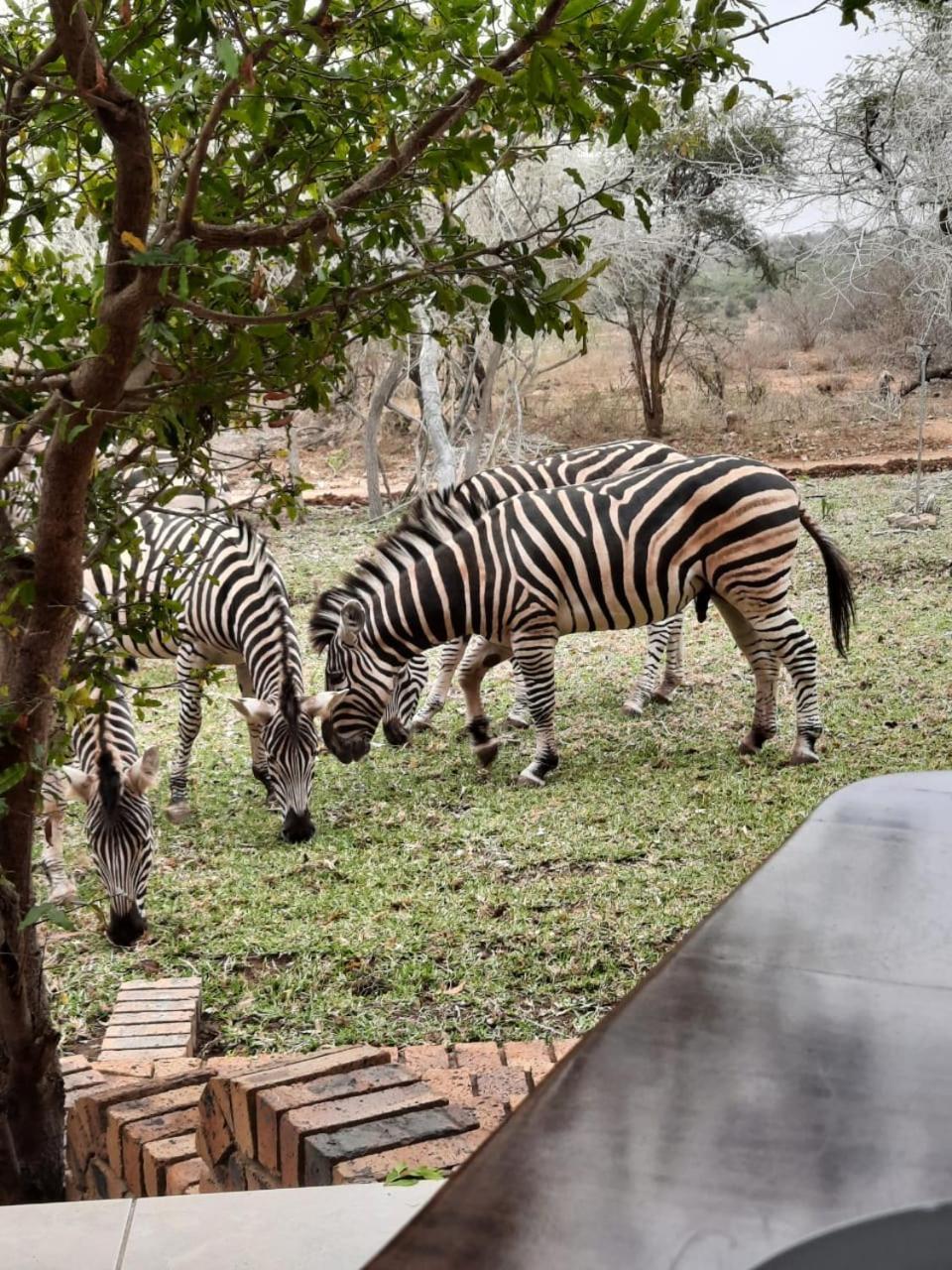 Kruger Riverside Lodge - No Load-Shedding مارلوث بارك المظهر الخارجي الصورة