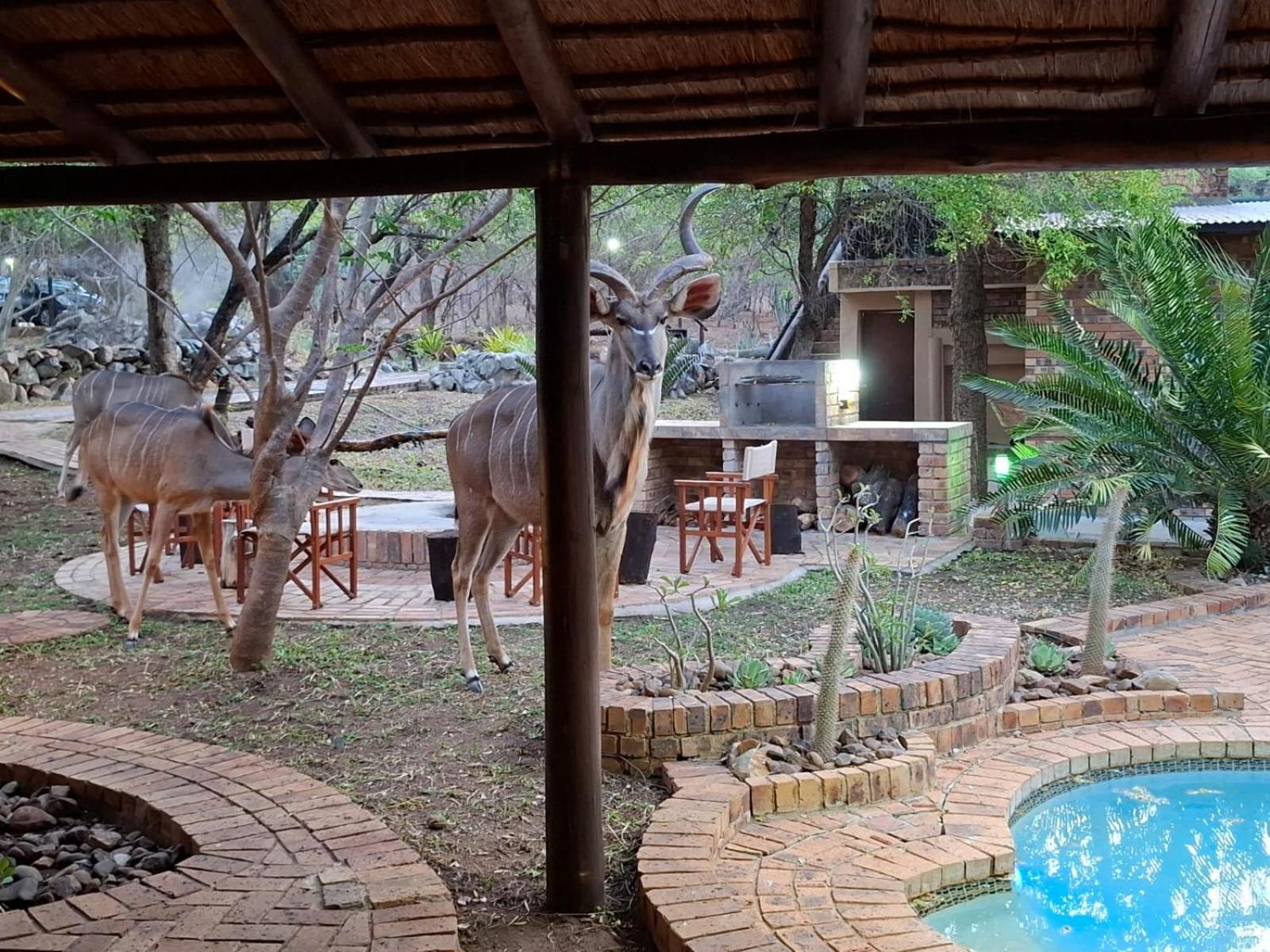 Kruger Riverside Lodge - No Load-Shedding مارلوث بارك المظهر الخارجي الصورة