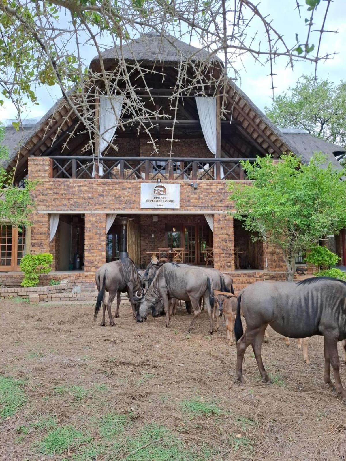 Kruger Riverside Lodge - No Load-Shedding مارلوث بارك المظهر الخارجي الصورة