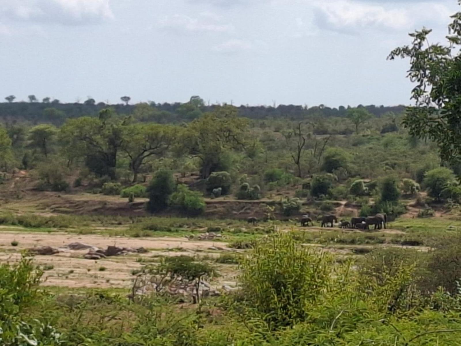 Kruger Riverside Lodge - No Load-Shedding مارلوث بارك المظهر الخارجي الصورة