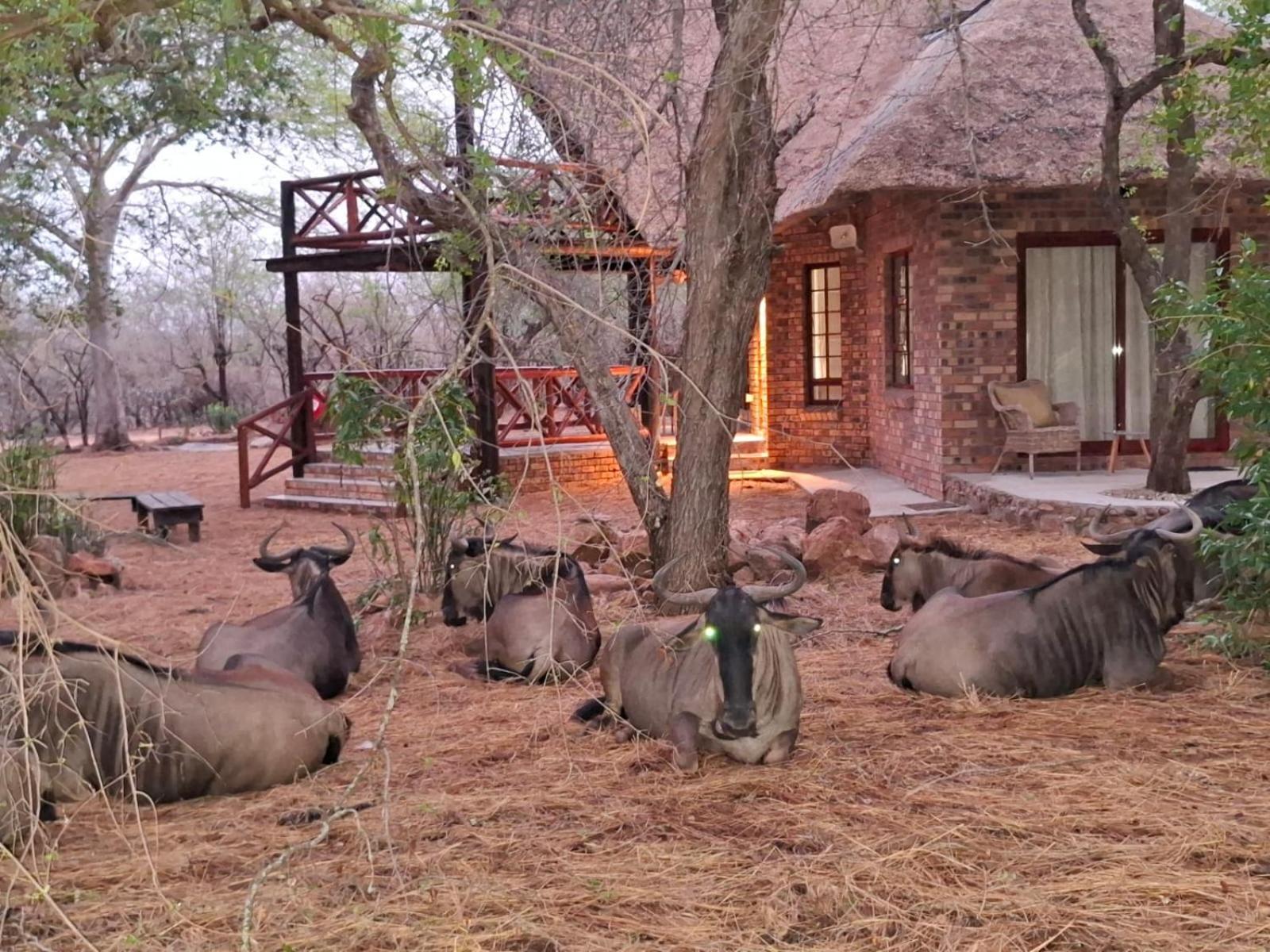 Kruger Riverside Lodge - No Load-Shedding مارلوث بارك المظهر الخارجي الصورة