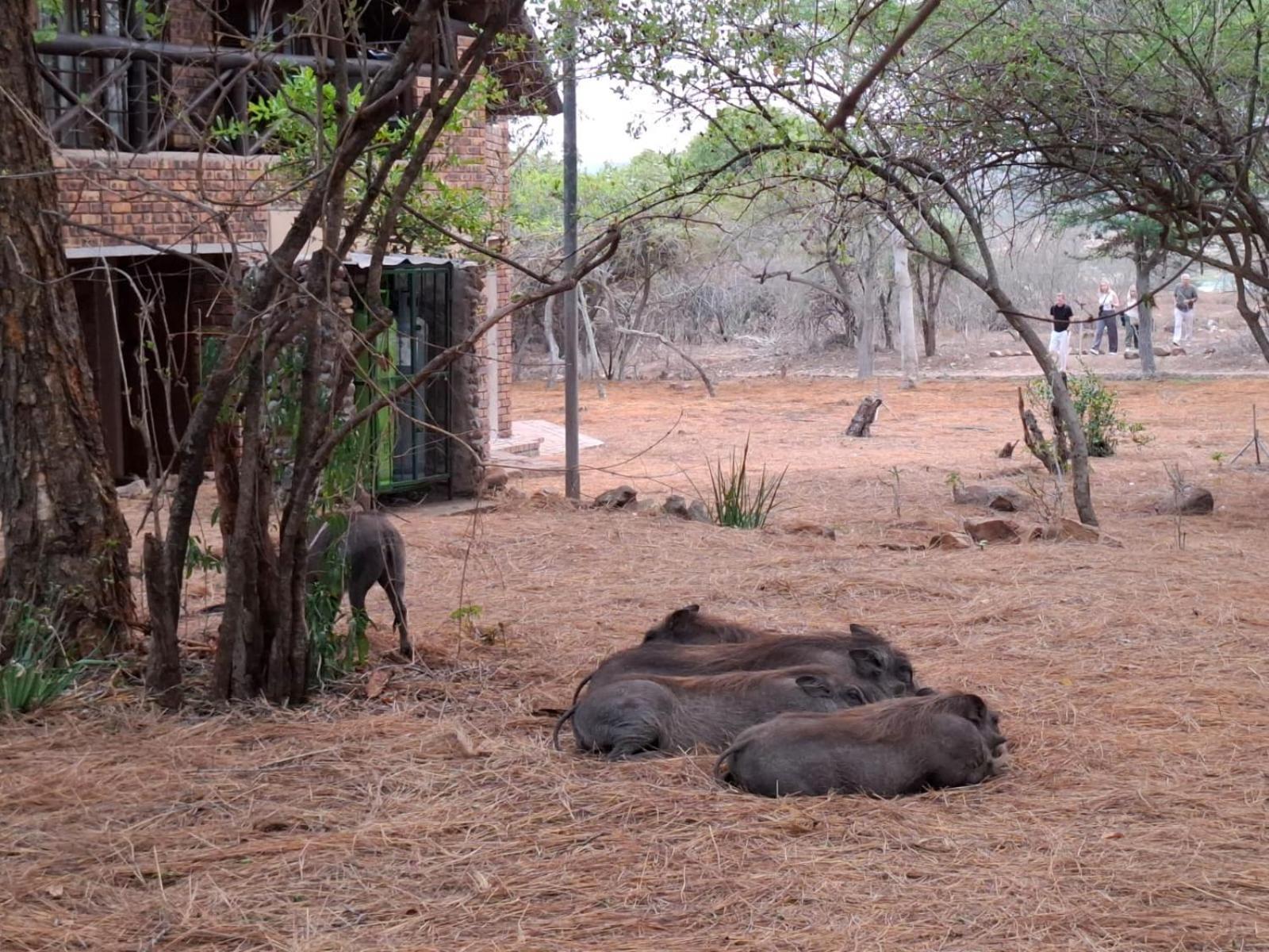 Kruger Riverside Lodge - No Load-Shedding مارلوث بارك المظهر الخارجي الصورة