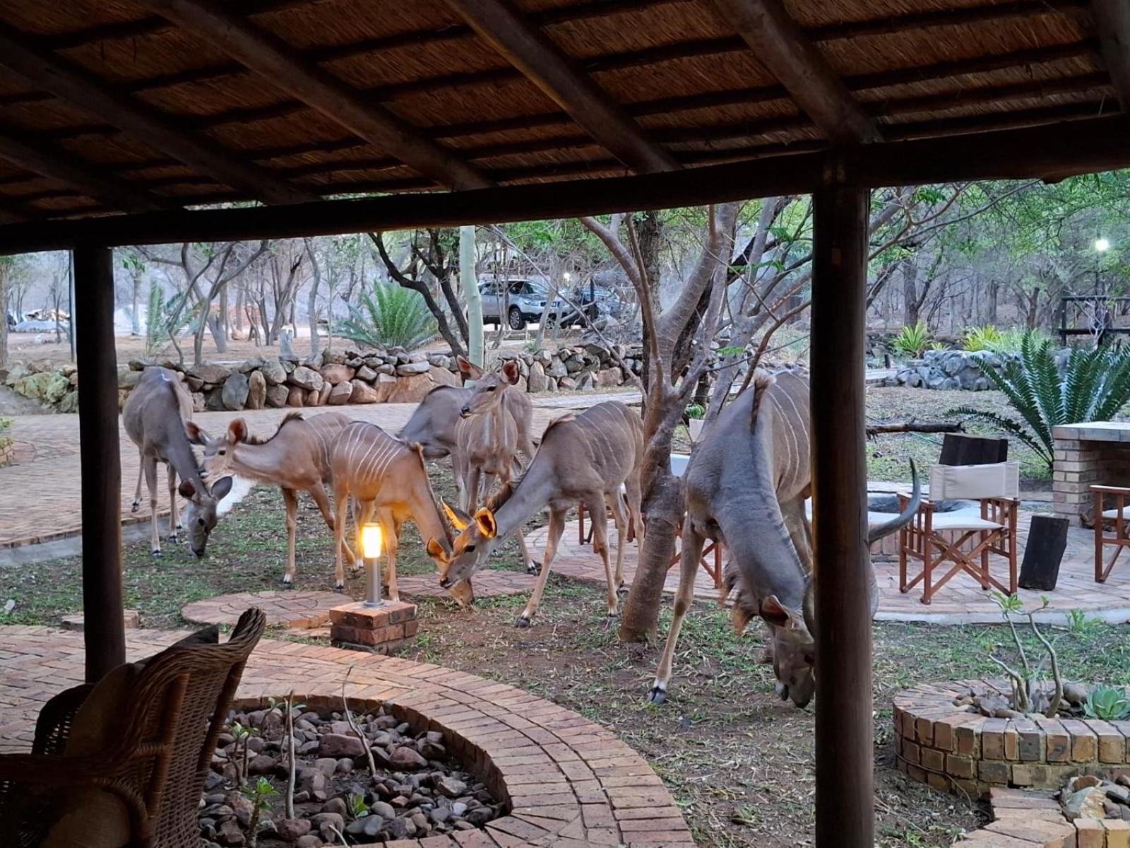 Kruger Riverside Lodge - No Load-Shedding مارلوث بارك المظهر الخارجي الصورة