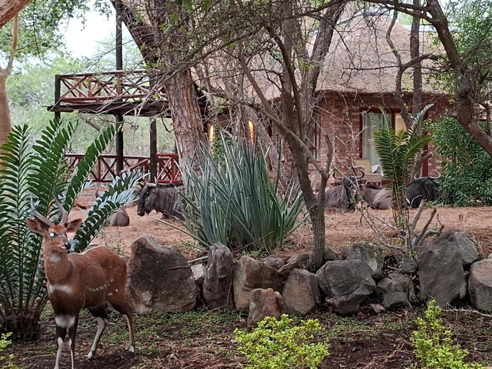 Kruger Riverside Lodge - No Load-Shedding مارلوث بارك المظهر الخارجي الصورة