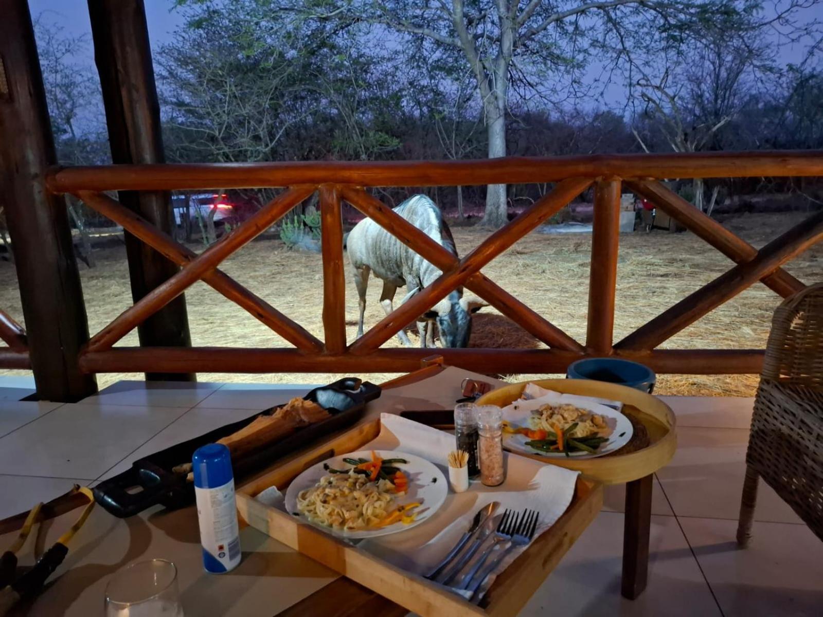 Kruger Riverside Lodge - No Load-Shedding مارلوث بارك المظهر الخارجي الصورة